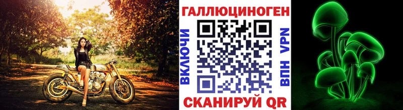 купить закладку  Верхоянск  Псилоцибиновые грибы GOLDEN TEACHER 